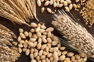 Ancient Grains Renaissance: Unlocking Nutrition with Timeless Crops